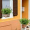8 Bundles Artificial Eucalyptus & Boxwood Shrubs - UV Resistant No-Fade Faux Greenery - 13" Small Fake Plants for Outdoor Hanging Planters, Porch, Garden, Patio & Indoor Home Office Decor (Green)